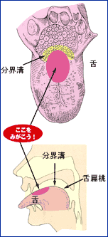 生理的口臭